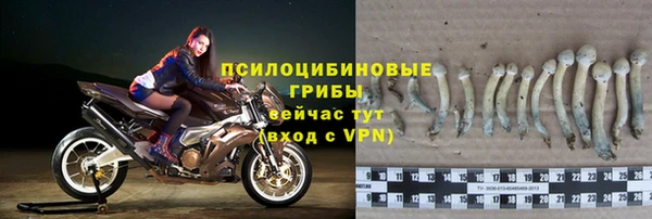 стаф Богородск