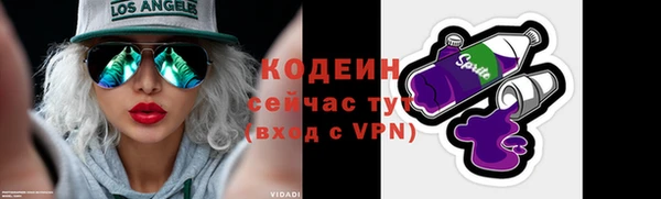 стаф Богородск