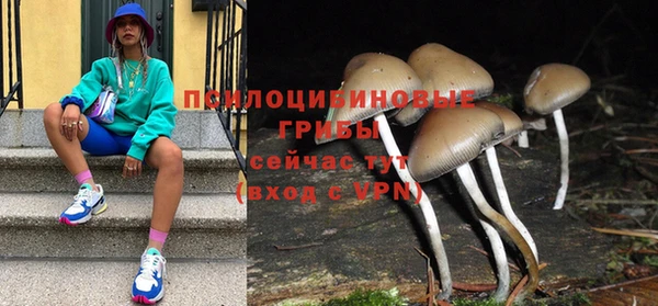 кокаин колумбия Богданович