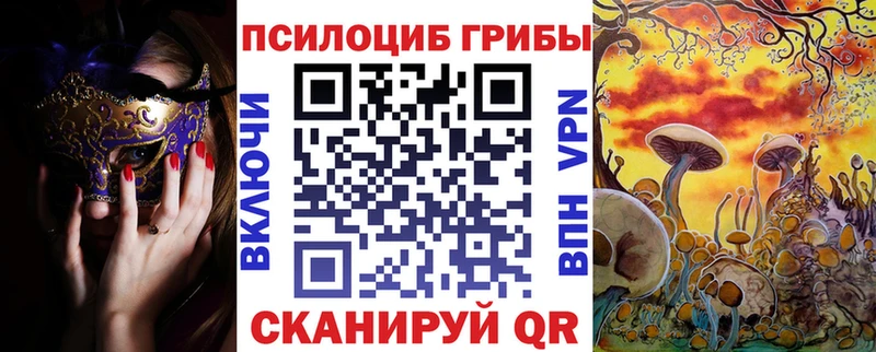 купить закладку  Ачхой-Мартан  Галлюциногенные грибы Psilocybe 